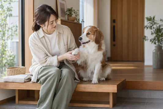 お散歩のあとに確認したい、愛犬の足元ケア5つの習慣