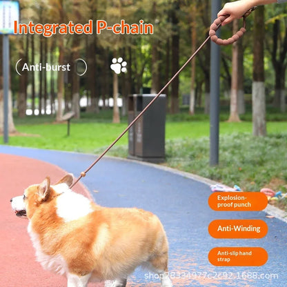 Show-Grade Adjustable Anti-Burst P-Leash P-Rope Dog Walking Leash for Outdoor Use Dog Training for Large/Medium/Small Dogs