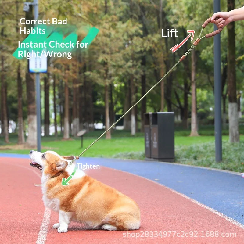 Show-Grade Adjustable Anti-Burst P-Leash P-Rope Dog Walking Leash for Outdoor Use Dog Training for Large/Medium/Small Dogs