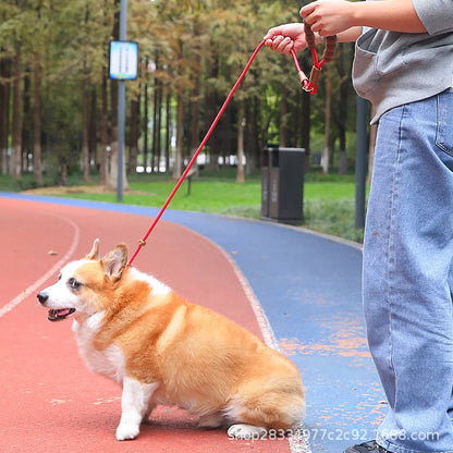 Show-Grade Adjustable Anti-Burst P-Leash P-Rope Dog Walking Leash for Outdoor Use Dog Training for Large/Medium/Small Dogs
