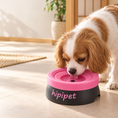 犬がピンクとブラックの給水ボウルから水を飲む様子