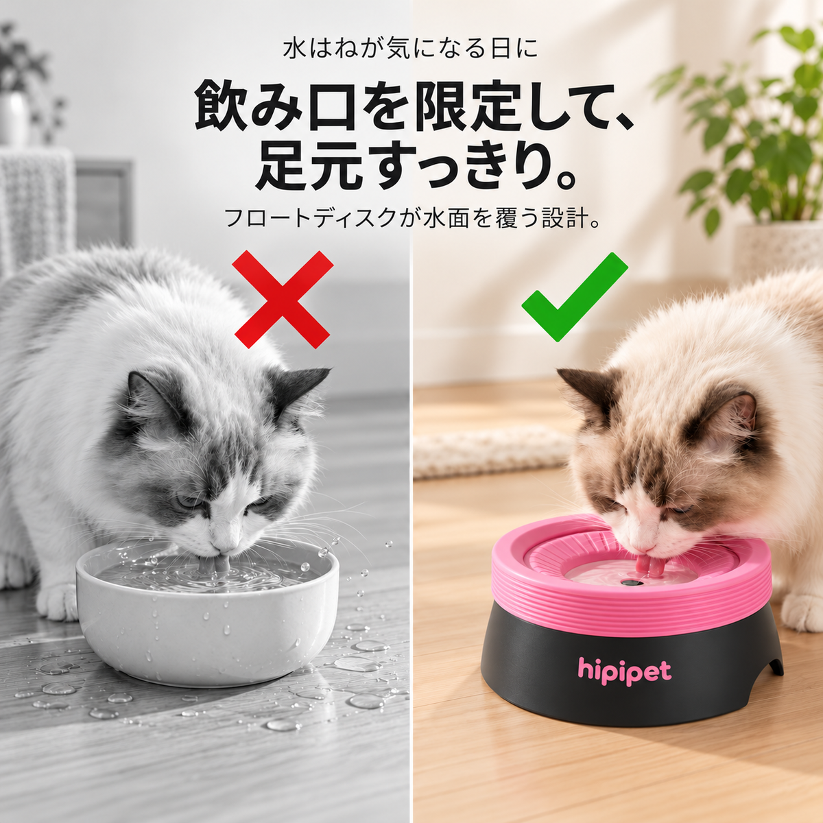 通常の器とフロートディスク式給水ボウルで猫が水を飲む様子の比較